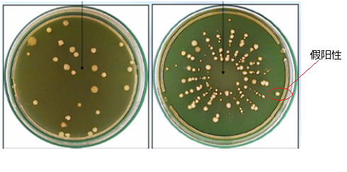 1500951046147645.png image001(03-24-1(07-25-10-41-43).png